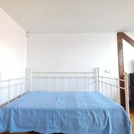 Elegant And Spacious 4br Loft In Charming Vinohrady