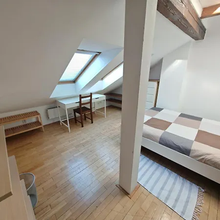 Elegant And Spacious 4br Loft In Charming Vinohrady