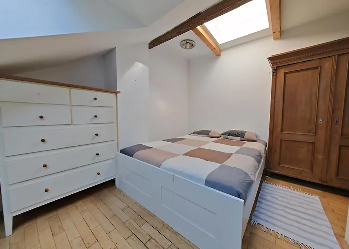 Elegant And Spacious 4br Loft In Charming Vinohrady Appartement *