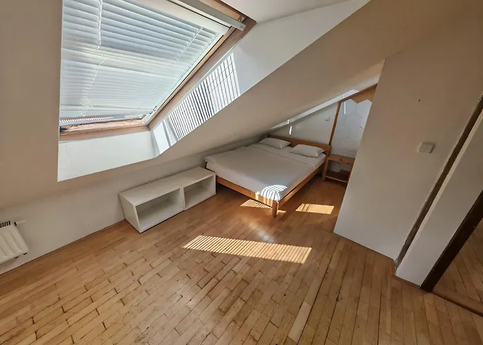 Elegant And Spacious 4br Loft In Charming Vinohrady Appartement Praag